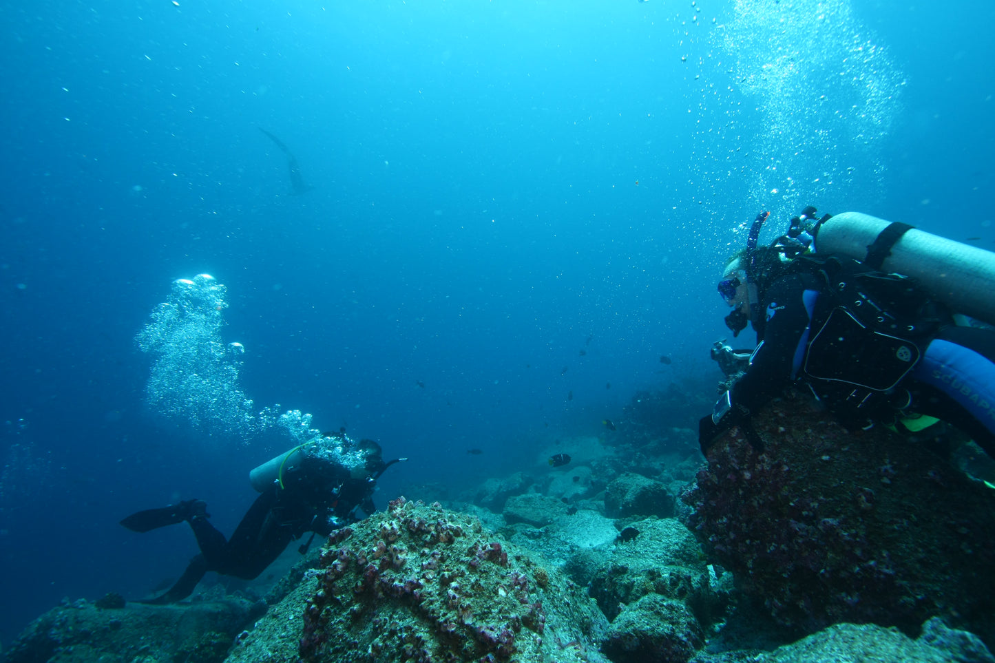 Diving at Kicker Rock & beach