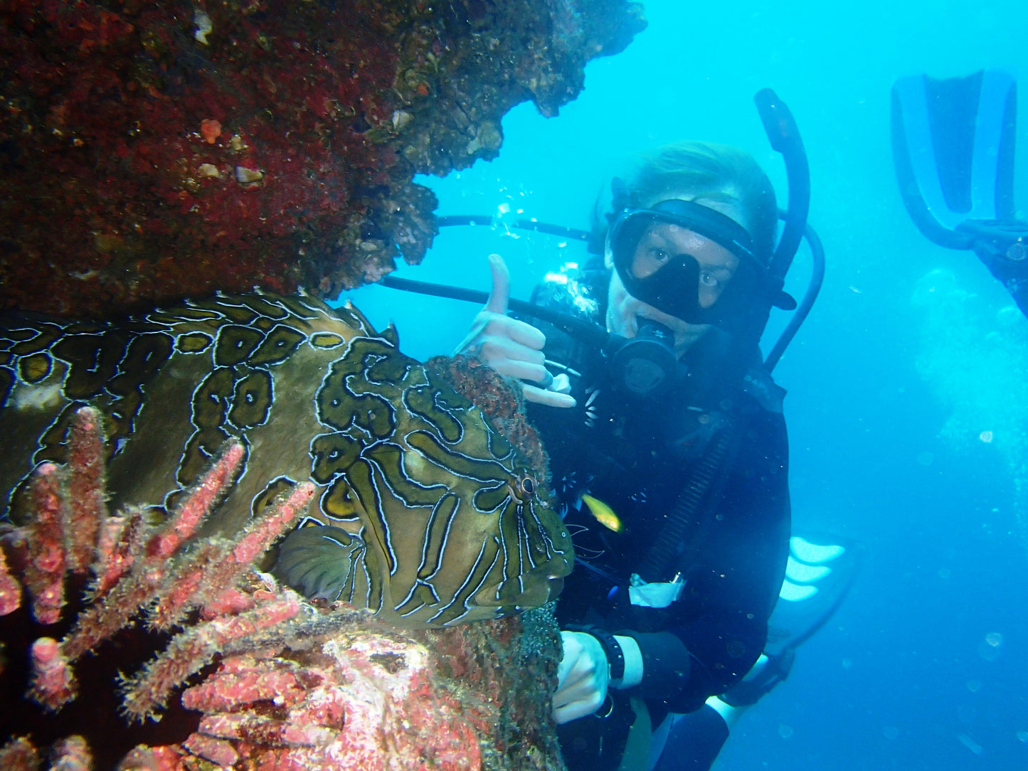 Diving at Kicker Rock & beach