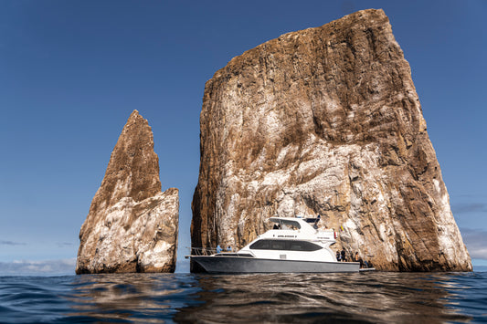 Snorkeling at Kicker Rock & beach