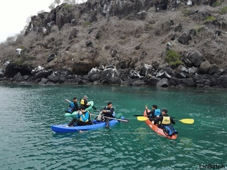 Kayak tour