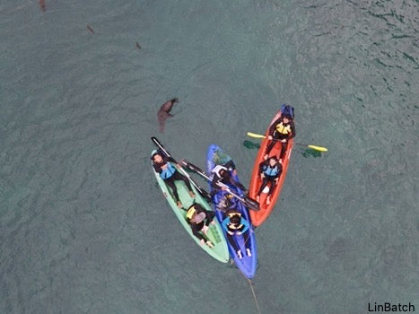 Kayak tour