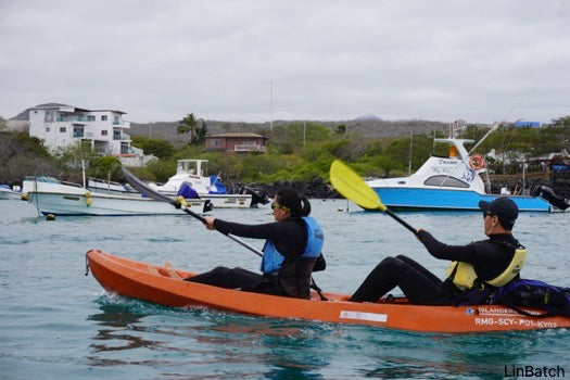 Kayak tour