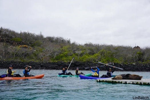 Kayak tour