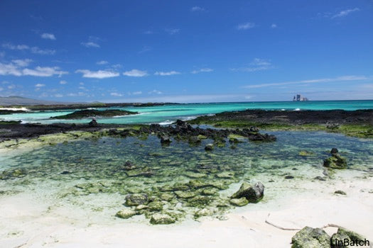 Snorkeling at Kicker Rock & beach