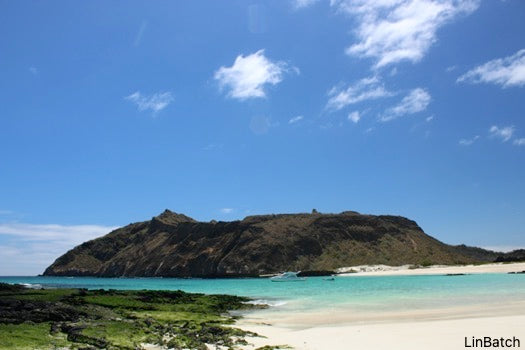 Snorkeling at Kicker Rock & beach